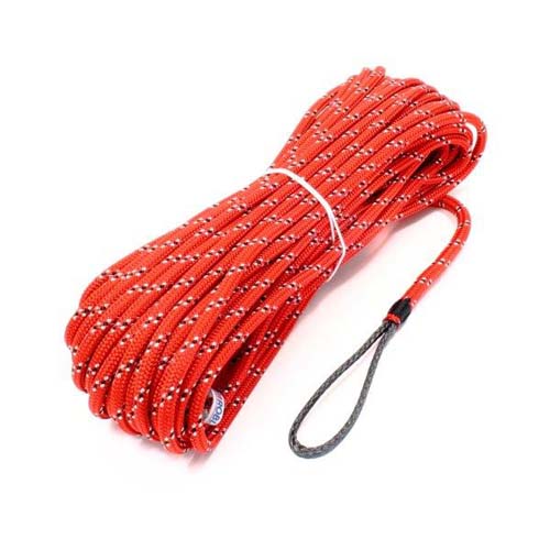 BENNS GLOBEPRO 10MM/40M RÖD